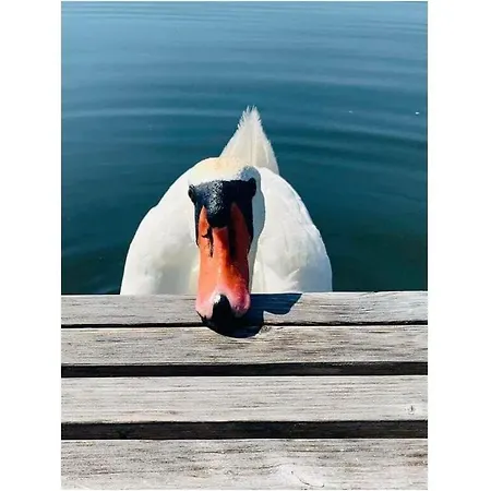 Woonboot 